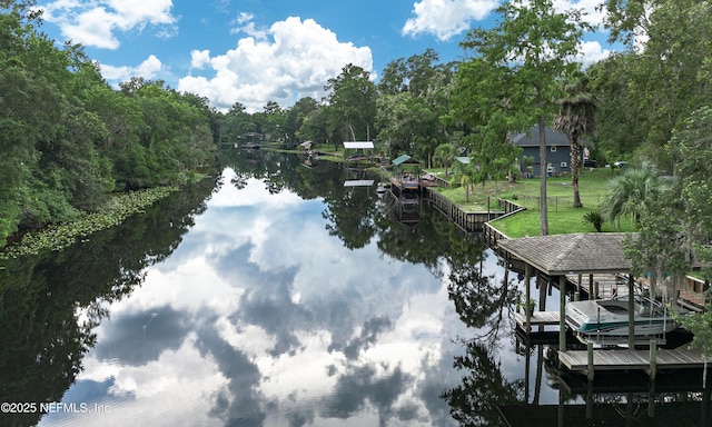 3793 Forest Dr, Middleburg, FL 32068 - dock area featuring a water view and a view of trees