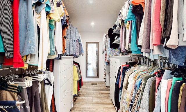 3793 Forest Dr, Middleburg, FL 32068 - spacious closet featuring light wood-style floors