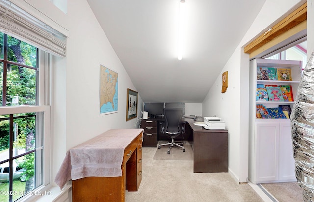 3793 Forest Dr, Middleburg, FL 32068 - office space with light carpet and vaulted ceiling