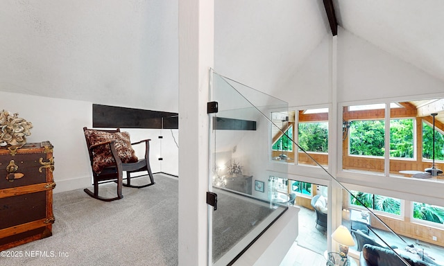 3793 Forest Dr, Middleburg, FL 32068 - detailed view of beam ceiling and carpet flooring