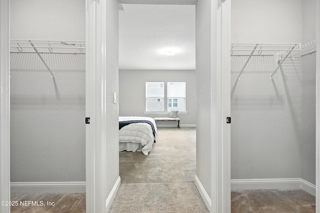 24 Tradesman Ln, Saint Johns, FL 32259 - view of closet