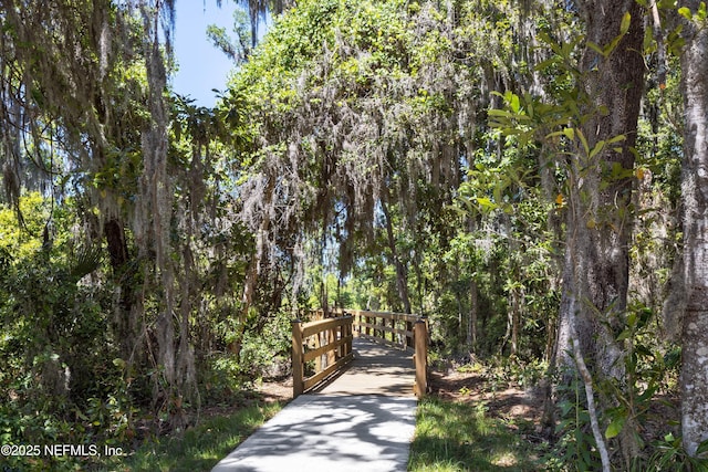 144 Oakmoss Dr, Saint Johns, FL 32259 - view of property's community featuring a forest view