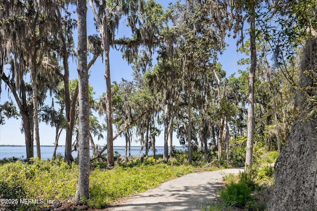144 Oakmoss Dr, Saint Johns, FL 32259 - surrounding community featuring a water view