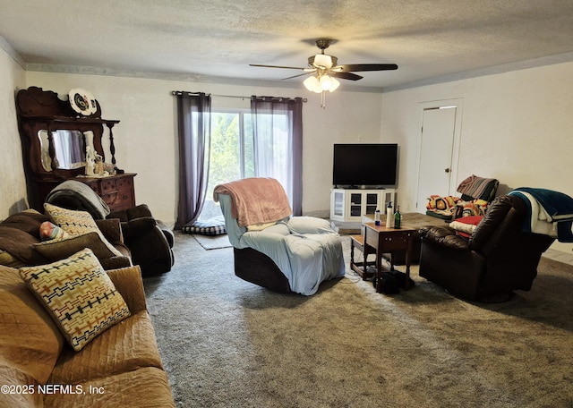 282 Byrd Rd, Crescent City, FL 32112 - photo 9
