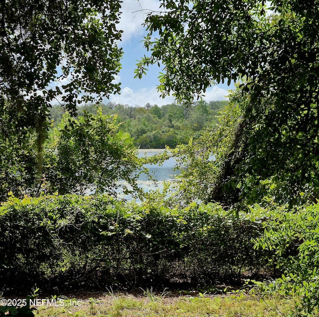 282 Byrd Rd, Crescent City, FL 32112 - photo 21