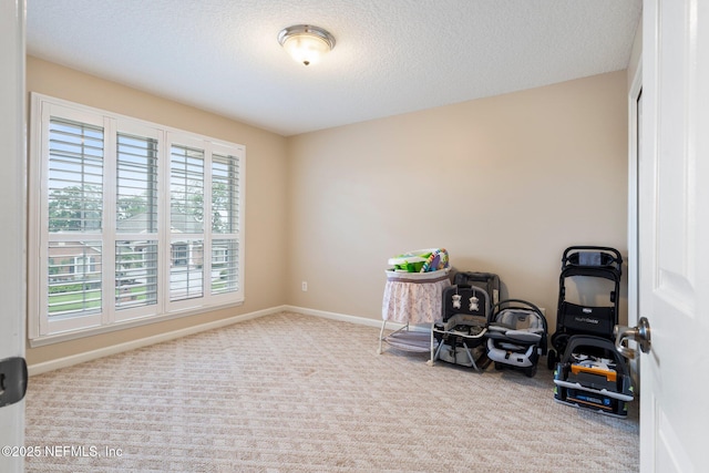 2025 Castle Point Ct, Fleming Island, FL 32003 - living area featuring carpet and a textured ceiling