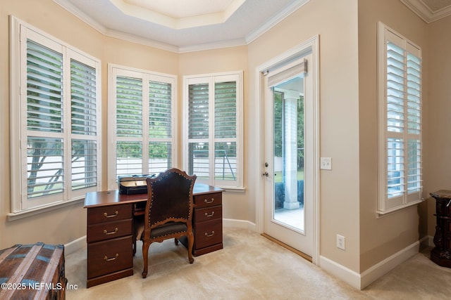 2025 Castle Point Ct, Fleming Island, FL 32003 - home office featuring healthy amount of natural light, light colored carpet, and crown molding