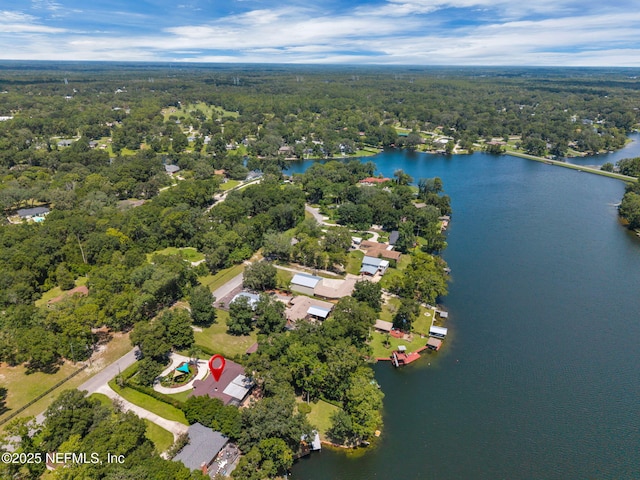 831 Arthur Moore Dr, Green Cove Springs, FL 32043 - photo 44