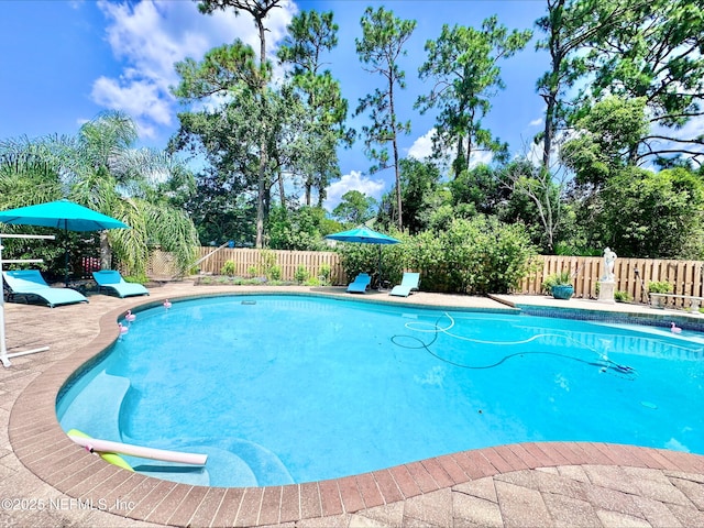 8107 Woodgrove Rd, Jacksonville, FL 32256 - photo 2