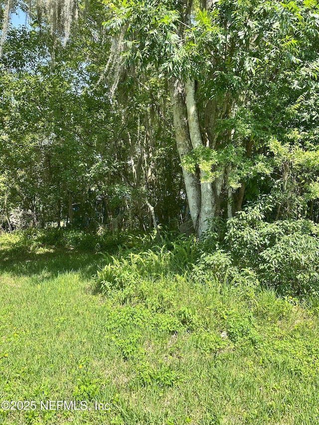 222 W Holtz St, Hastings, FL 32145