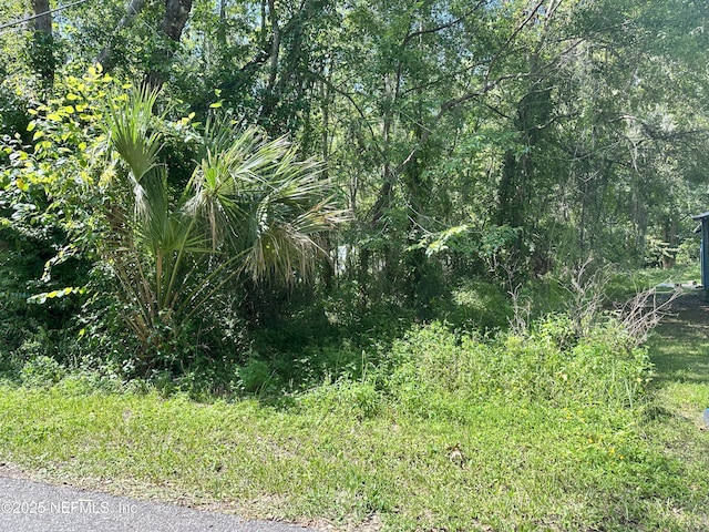 222 W Holtz St, Hastings, FL 32145