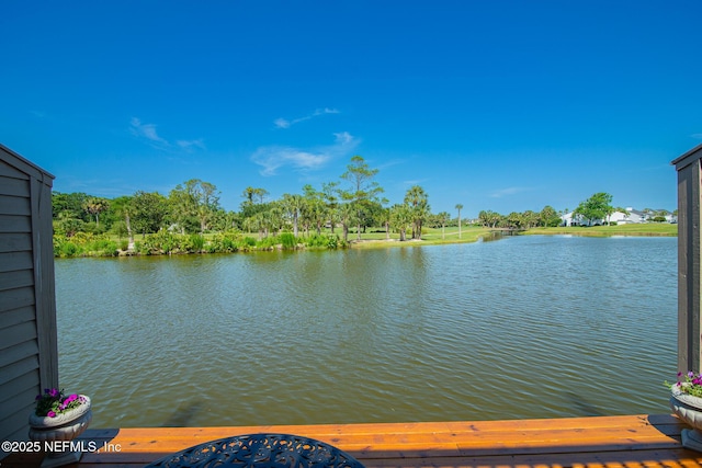 36 Fishermans Cove Rd, Ponte Vedra Beach, FL 32082 - photo 38