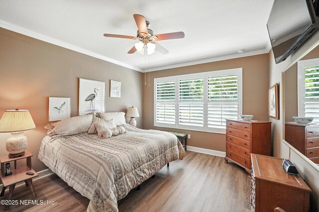 49 Acorn Grove Ct, Ponte Vedra, FL 32081 - photo 19