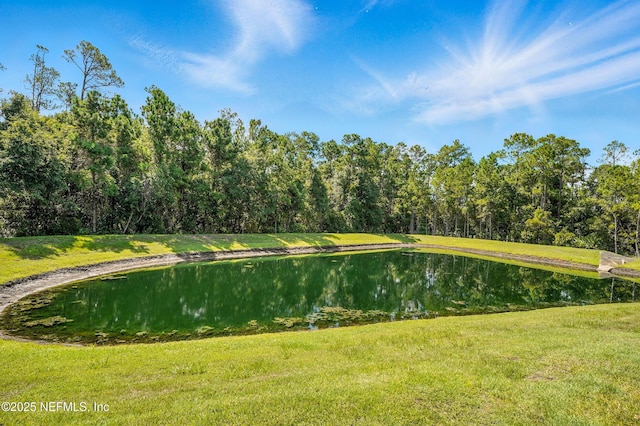 49 Acorn Grove Ct, Ponte Vedra, FL 32081 - photo 33