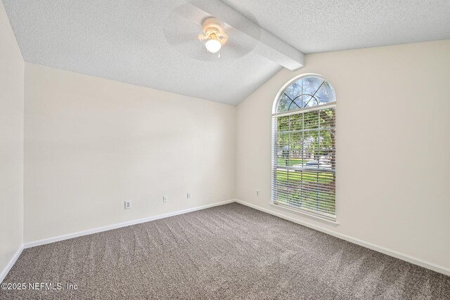 671 Hampton Downs Ct, Saint Johns, FL 32259 - photo 10