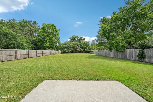671 Hampton Downs Ct, Saint Johns, FL 32259 - photo 2