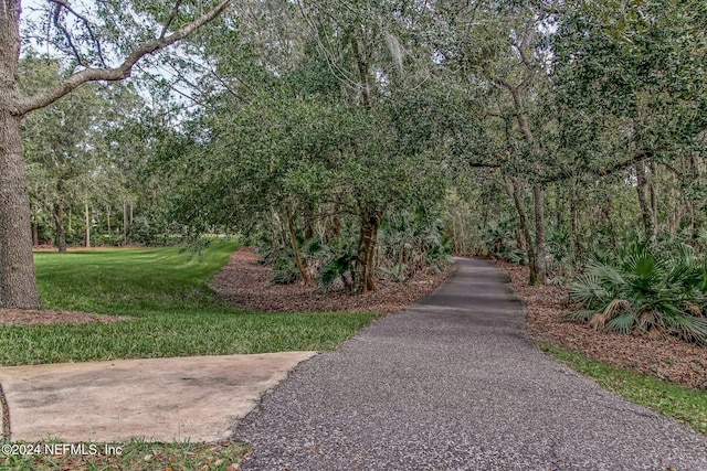 313 Vale Dr, Saint Augustine, FL 32095 - photo 172