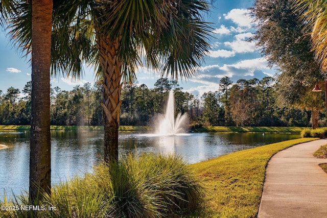 12700 Bartram Park Blvd Unit 1923, Jacksonville, FL 32258 - water view