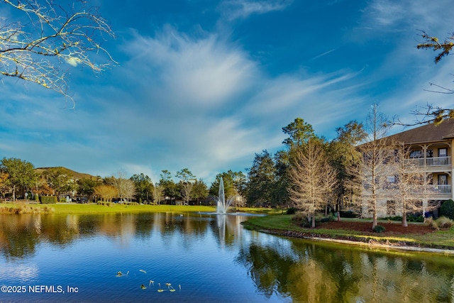12700 Bartram Park Blvd Unit 1923, Jacksonville, FL 32258 - water view