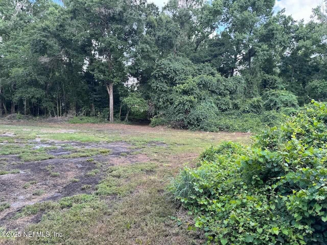 7306 County Road 315c, Keystone Heights, FL 32656 - photo 5