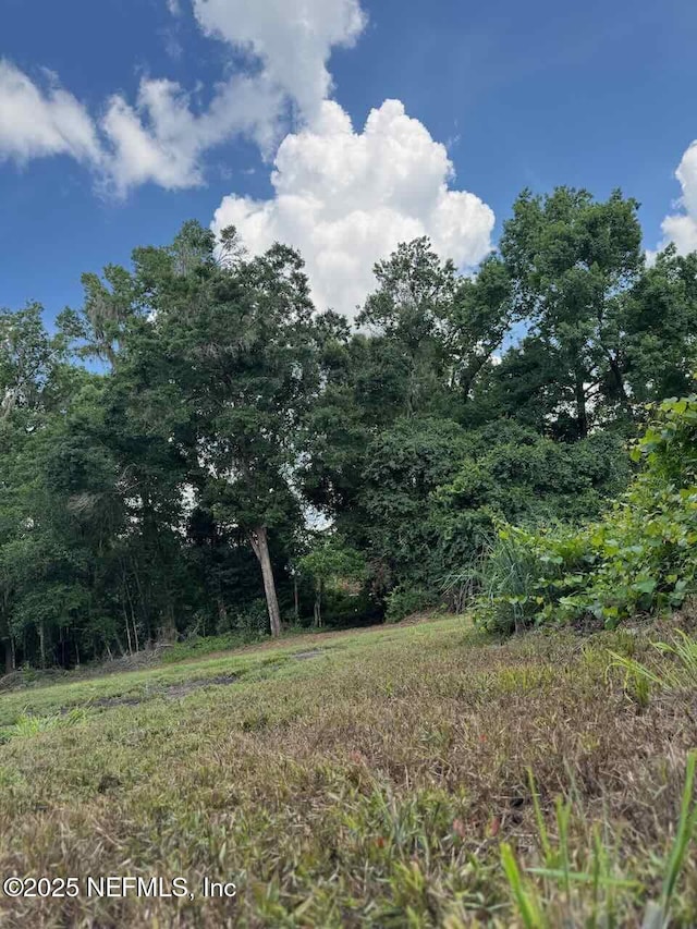 7306 County Road 315c, Keystone Heights, FL 32656 - photo 6