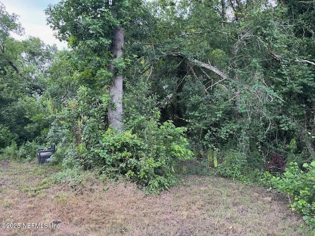 7306 County Road 315c, Keystone Heights, FL 32656 - photo 7