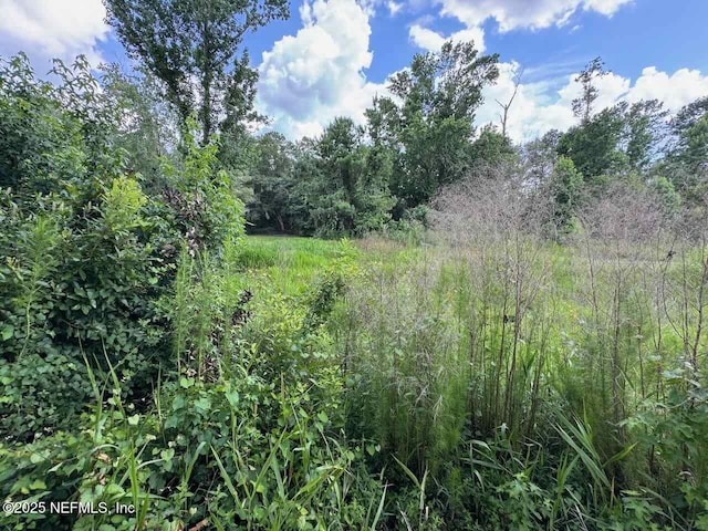 7306 County Road 315c, Keystone Heights, FL 32656 - photo 9