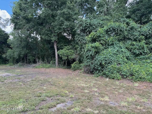 7306 County Road 315c, Keystone Heights, FL 32656 - photo 10