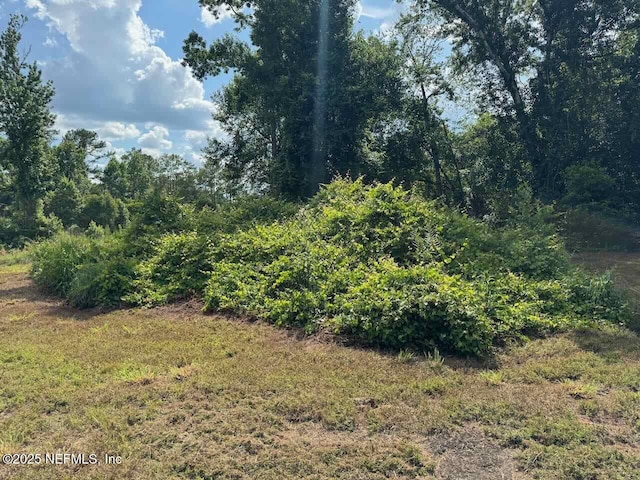 7306 County Road 315c, Keystone Heights, FL 32656 - photo 13