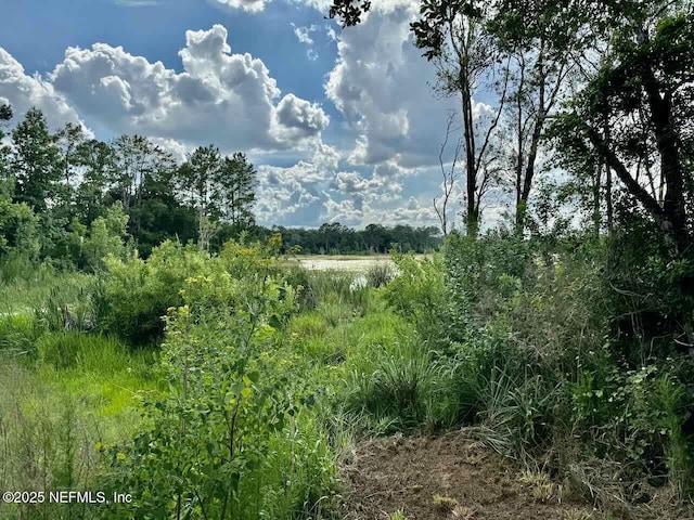 7306 County Road 315c, Keystone Heights, FL 32656 - photo 14