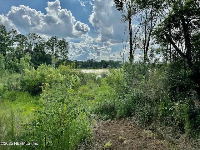 7306 County Road 315c, Keystone Heights, FL 32656 - photo 15