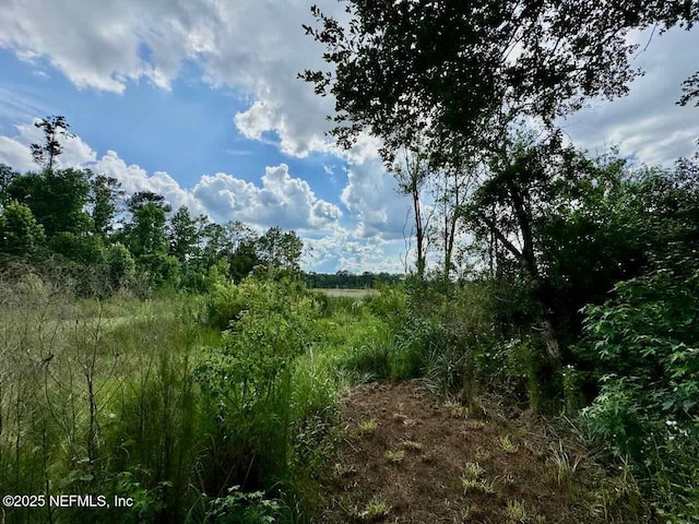 7306 County Road 315c, Keystone Heights, FL 32656 - photo 16
