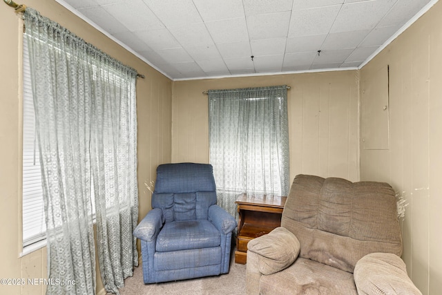 44125 Jarrett Rd, Callahan, FL 32011 - living area featuring crown molding