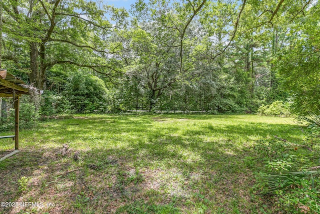 44125 Jarrett Rd, Callahan, FL 32011 - view of green lawn featuring a forest view