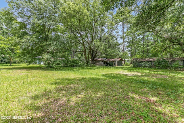 44125 Jarrett Rd, Callahan, FL 32011 - view of yard