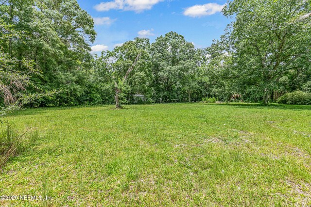 44125 Jarrett Rd, Callahan, FL 32011 - view of yard featuring a view of trees