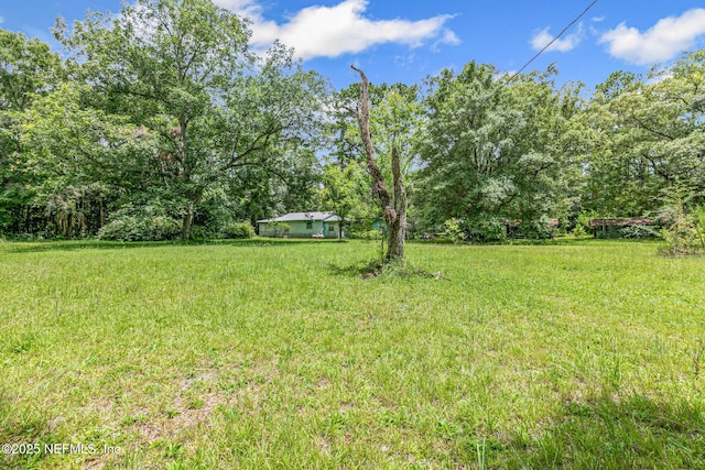 44125 Jarrett Rd, Callahan, FL 32011 - view of yard