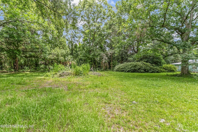 44125 Jarrett Rd, Callahan, FL 32011 - view of yard