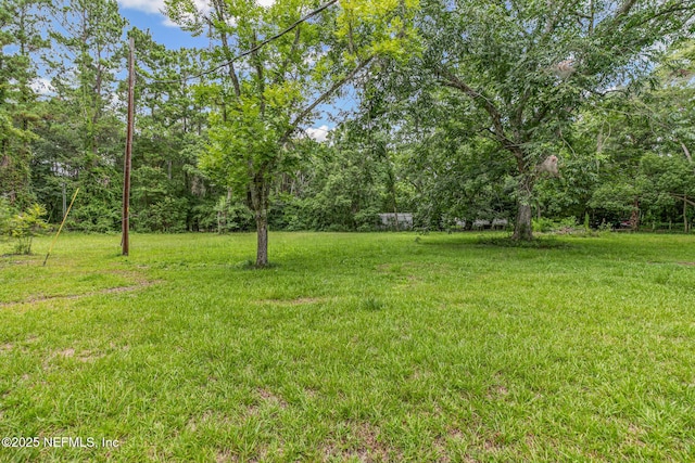 44125 Jarrett Rd, Callahan, FL 32011 - view of green lawn