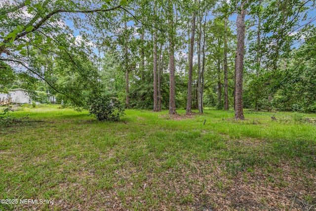 44125 Jarrett Rd, Callahan, FL 32011 - view of yard