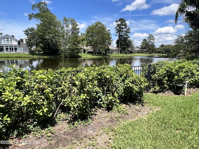 2268 S Brook Dr, Fleming Island, FL 32003 - water view