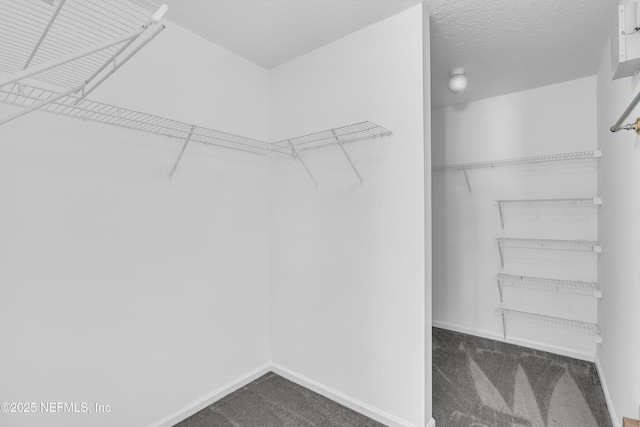 2268 S Brook Dr, Fleming Island, FL 32003 - photo 29