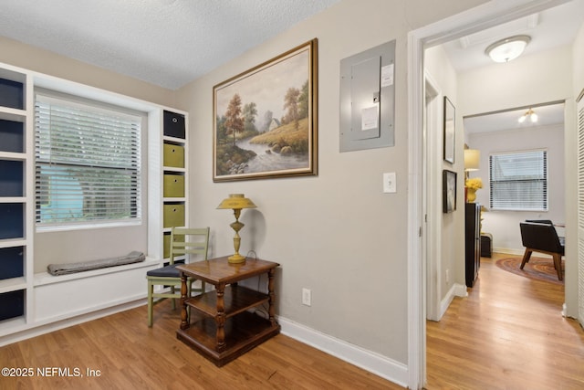 3207 Plum St, Jacksonville, FL 32205 - hallway featuring electric panel, light wood-style floors, plenty of natural light, and a textured ceiling