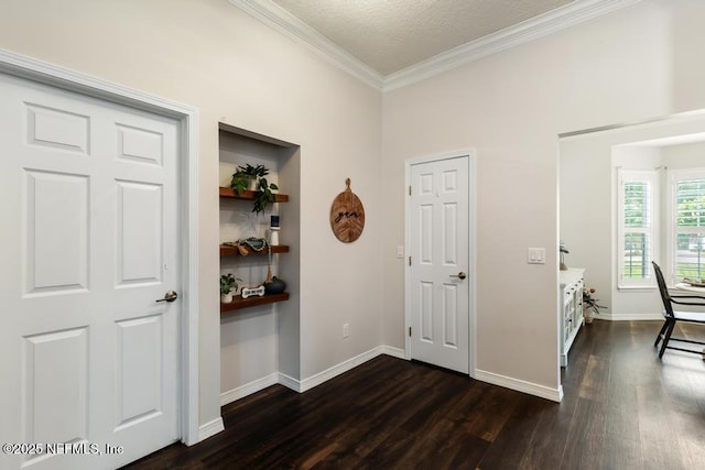 44677 Green Meadows Ln, Callahan, FL 32011 - hallway with dark wood-type flooring, crown molding, and a textured ceiling