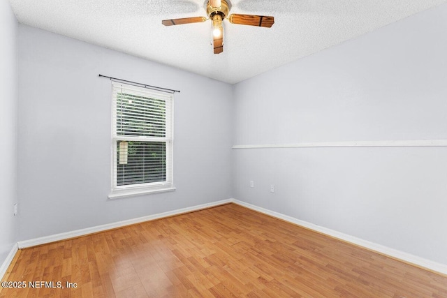 3406 Alec Dr, Middleburg, FL 32068 - photo 14