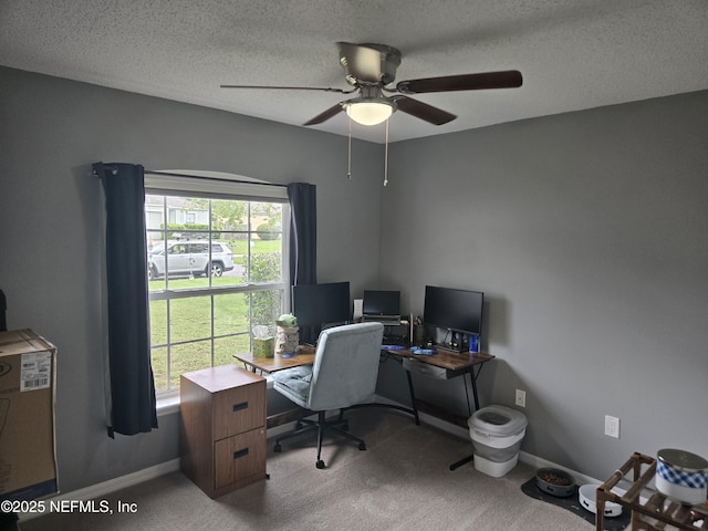 7412 Edenfield Park Rd, Jacksonville, FL 32244 - photo 17