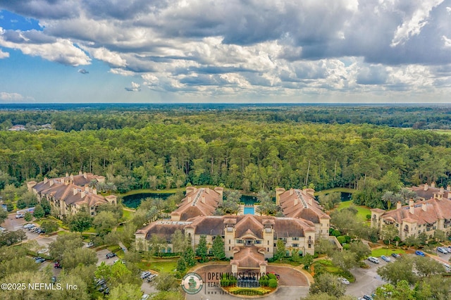 945 Registry Blvd Unit 312, Saint Augustine, FL 32092 - bird's eye view of a forest