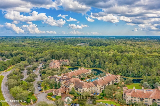 945 Registry Blvd Unit 312, Saint Augustine, FL 32092 - bird's eye view of a forest