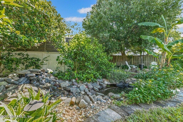 508 Lighthouse Ct, Neptune Beach, FL 32266 - view of yard