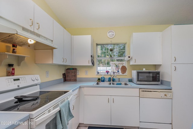 8 Sea Shark Path, Palm Coast, FL 32164 - photo 11